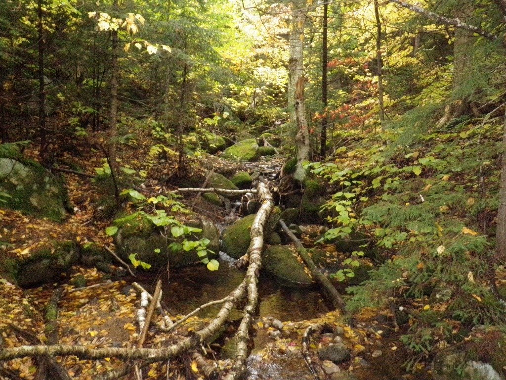 P9290004.JPG