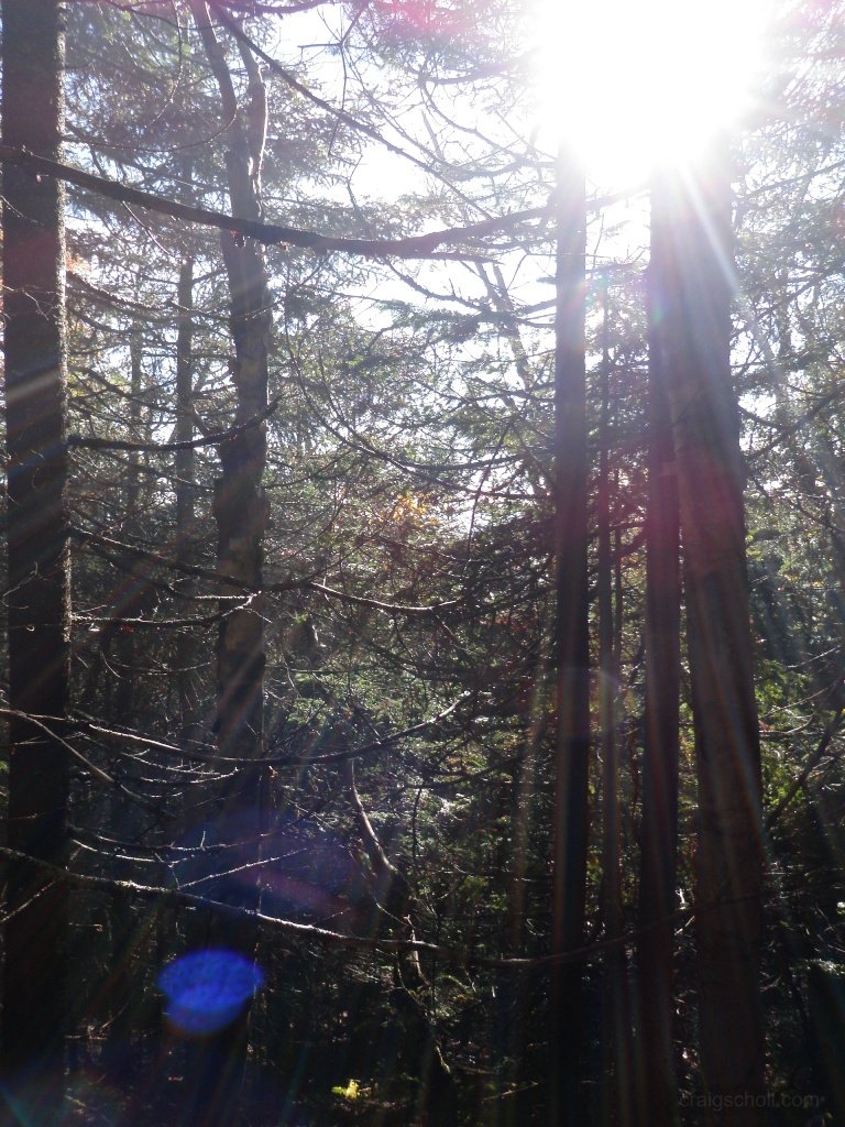 P9290013.JPG