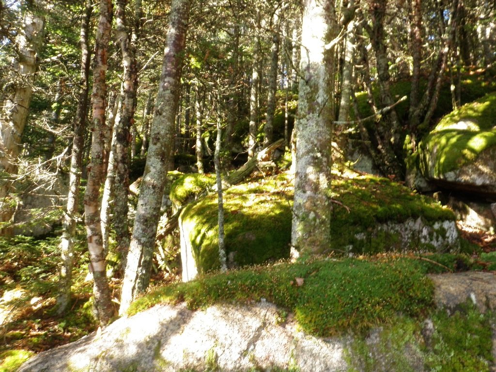 P9290015.JPG