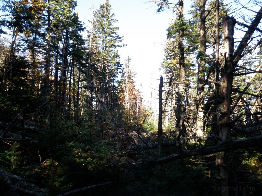 P9290016.JPG