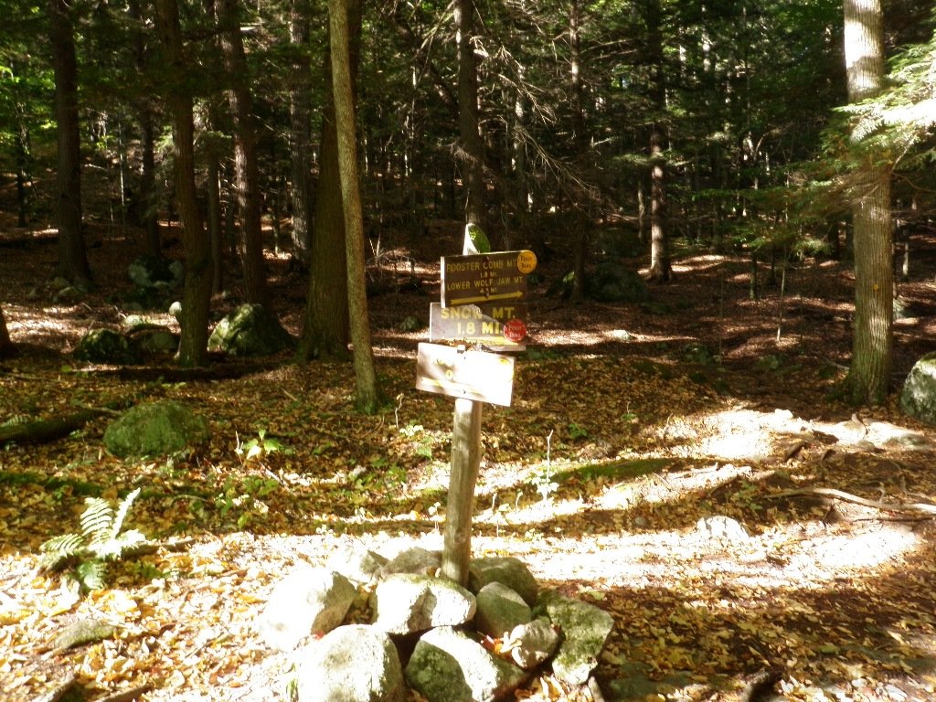 PA010006