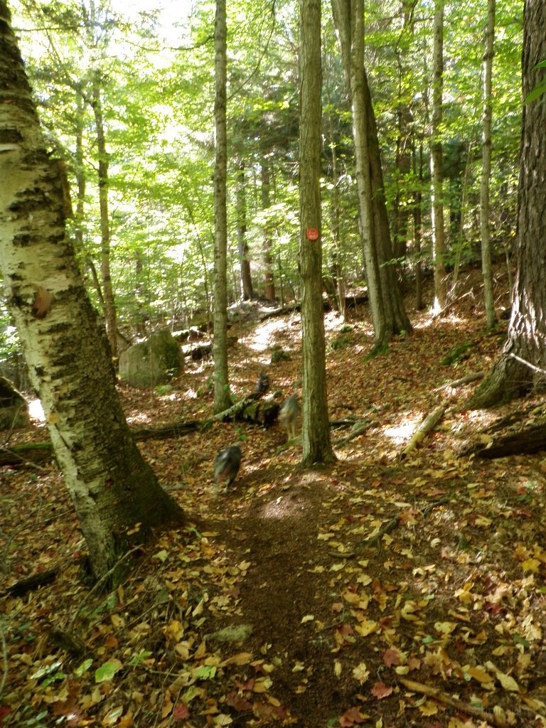 PA010007