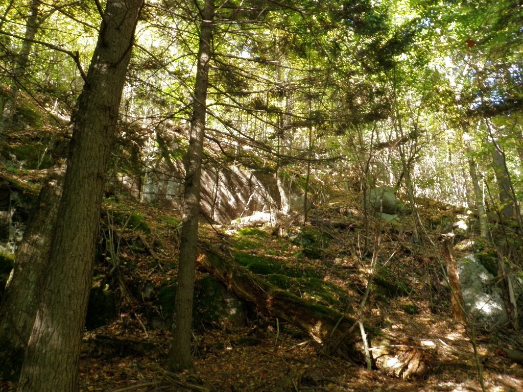 PA010008