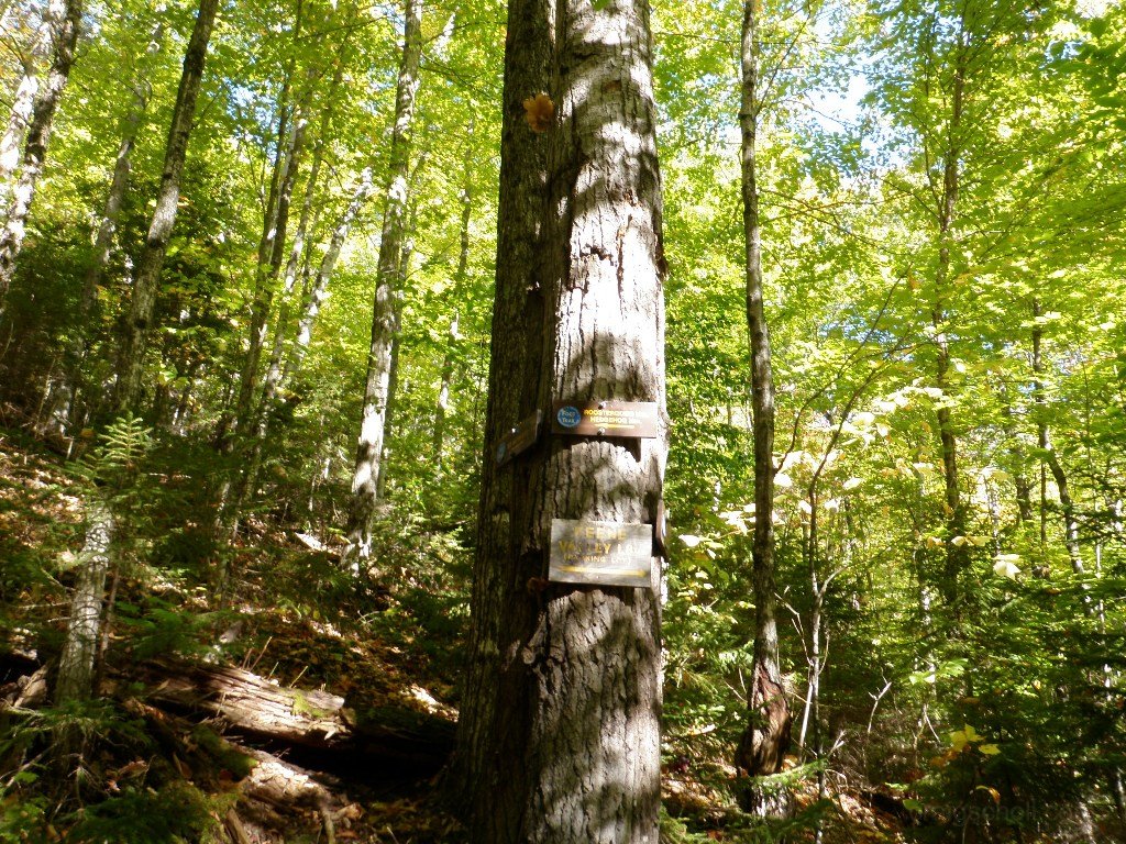 PA010011
