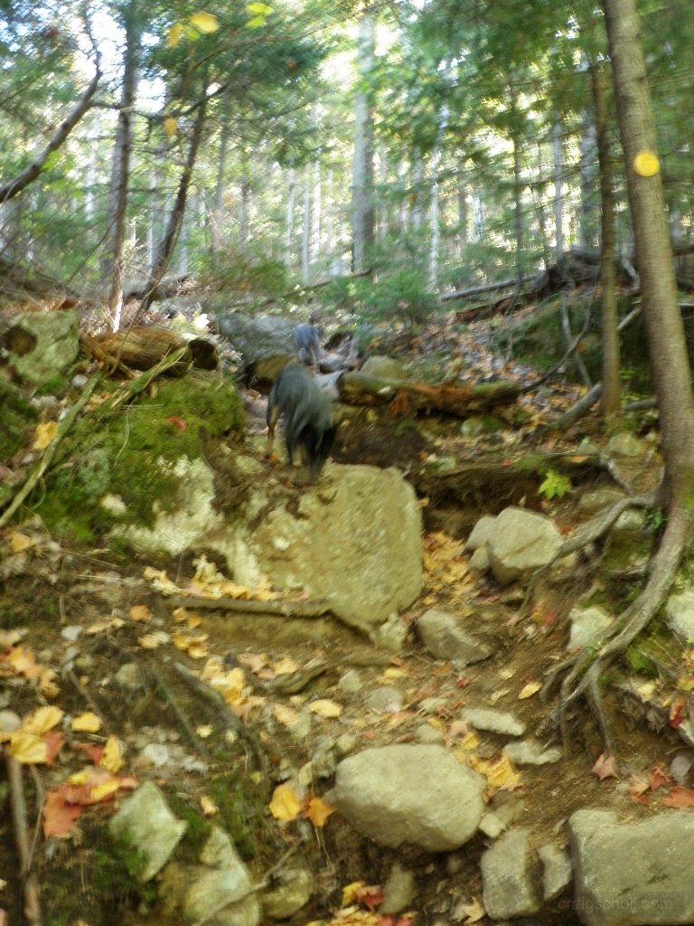 PA010014