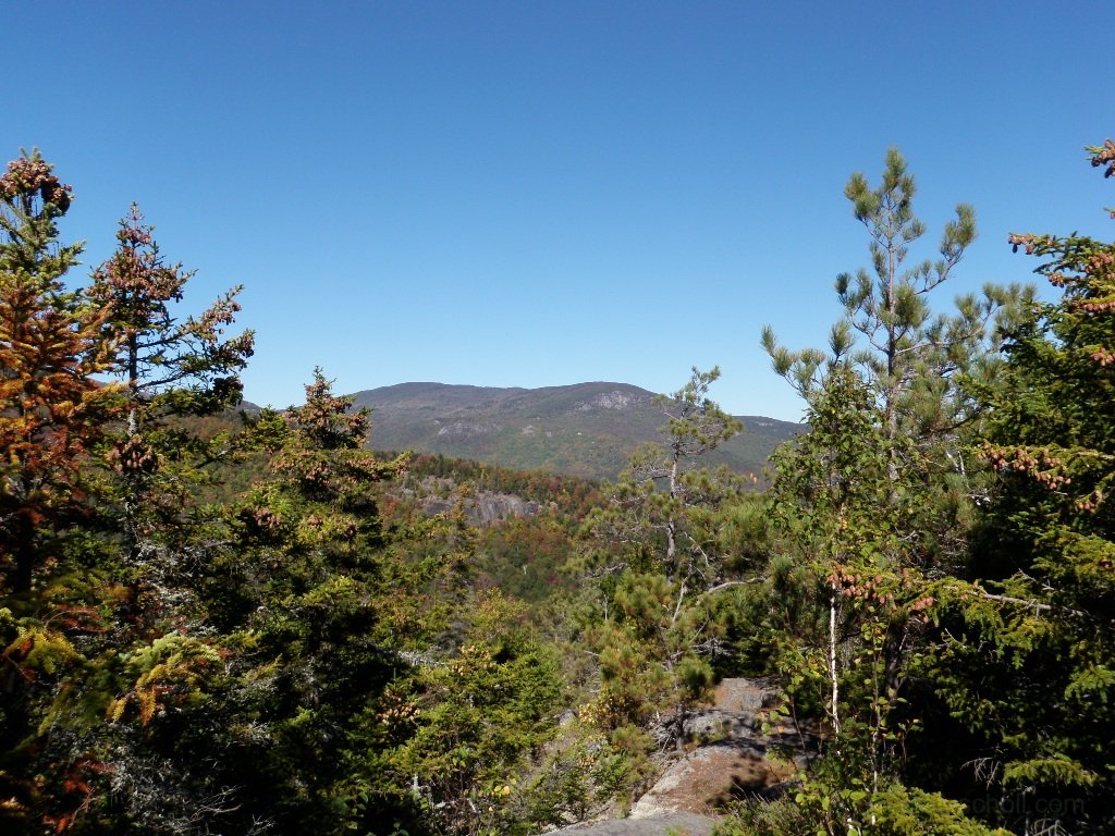 PA010020