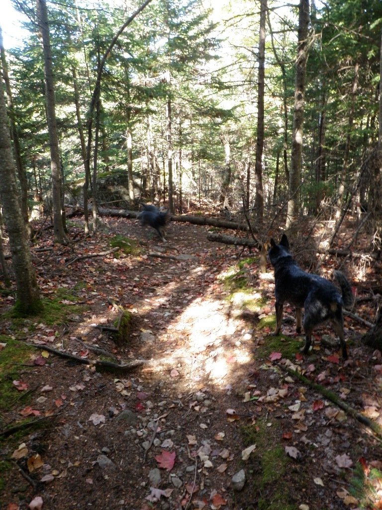 PA010025