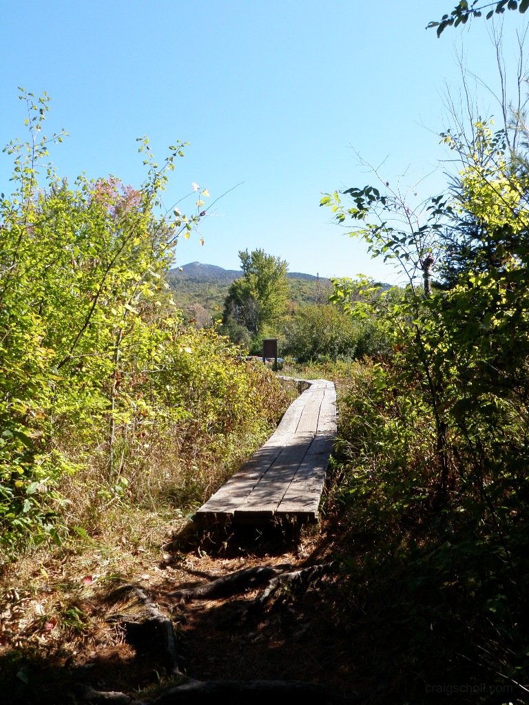 PA010028