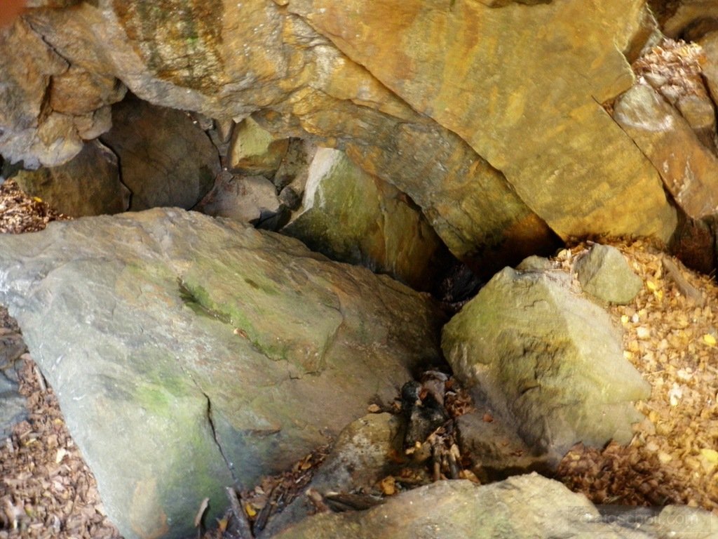 PA110009