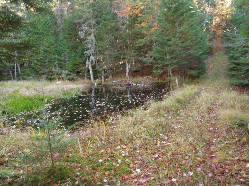 PA150017.JPG