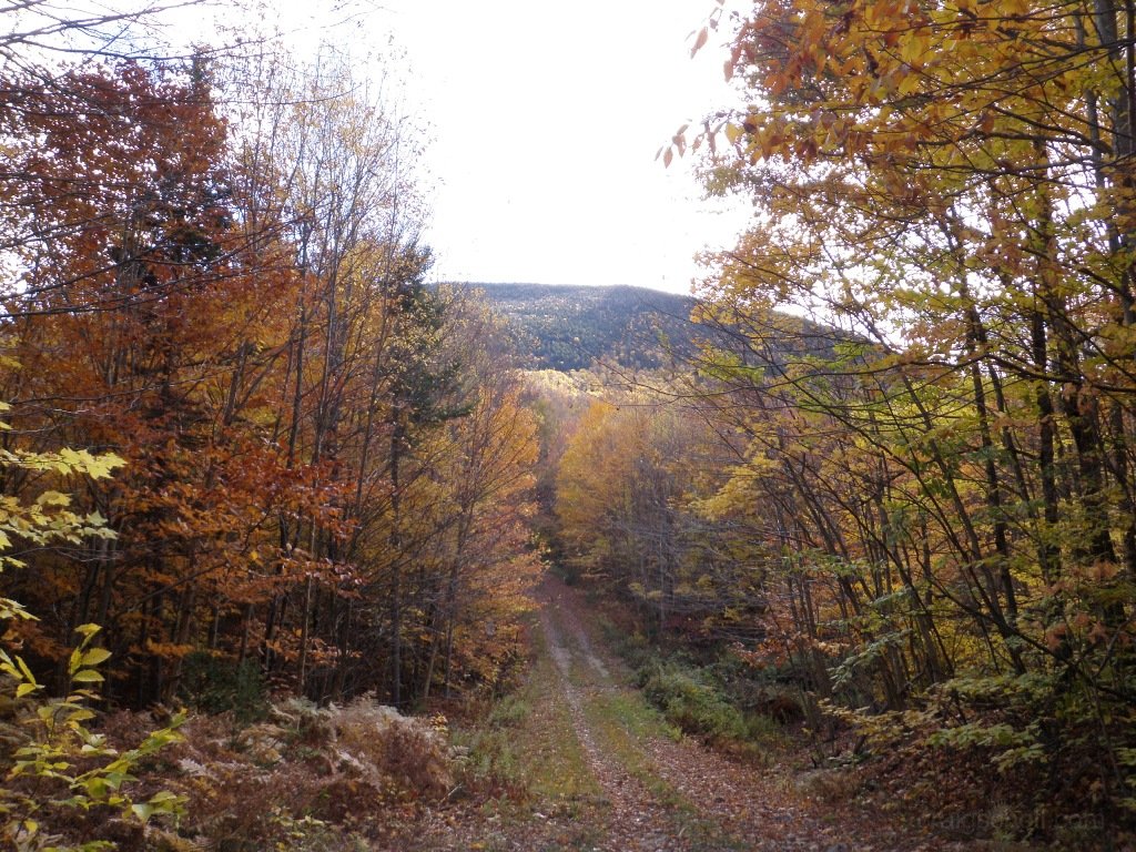 PA150023.JPG