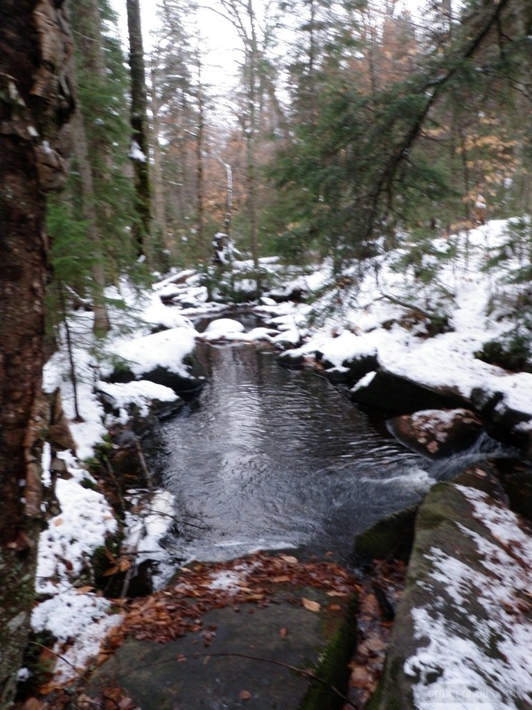 PA290007