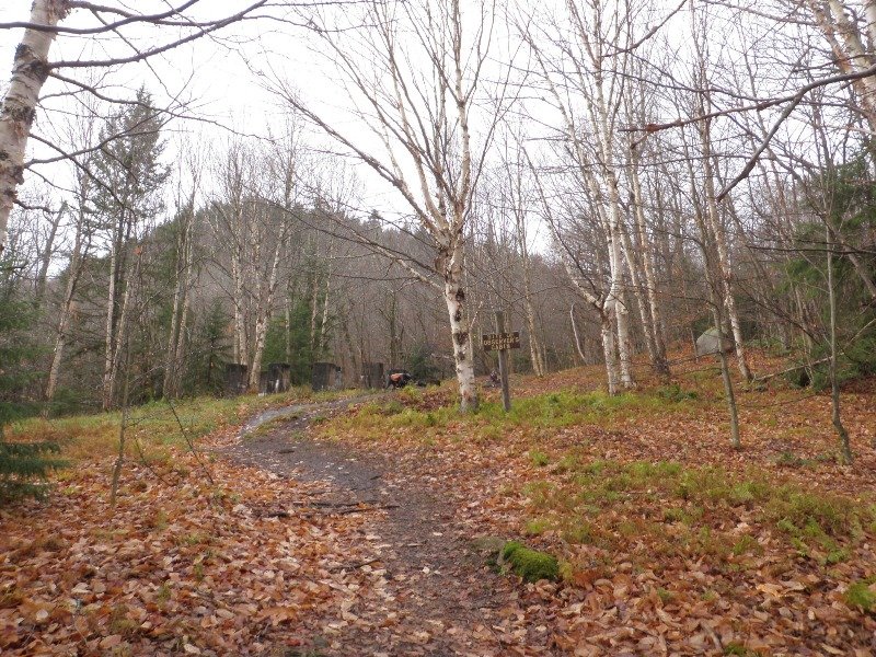 PB010005