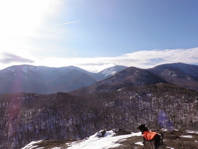 PB290032.jpg