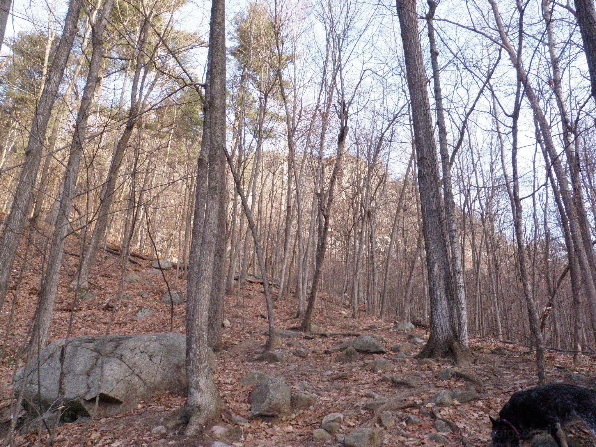 PC300005.jpg