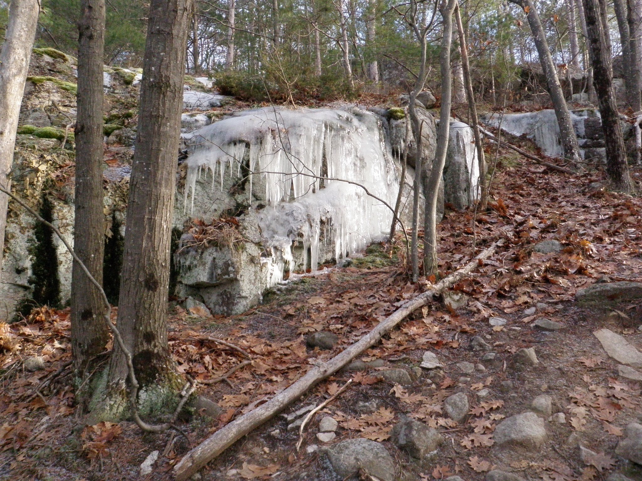 PC300012.jpg