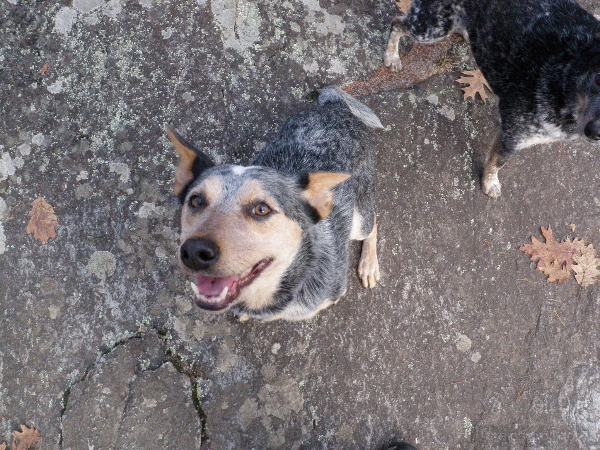 PC300019.jpg