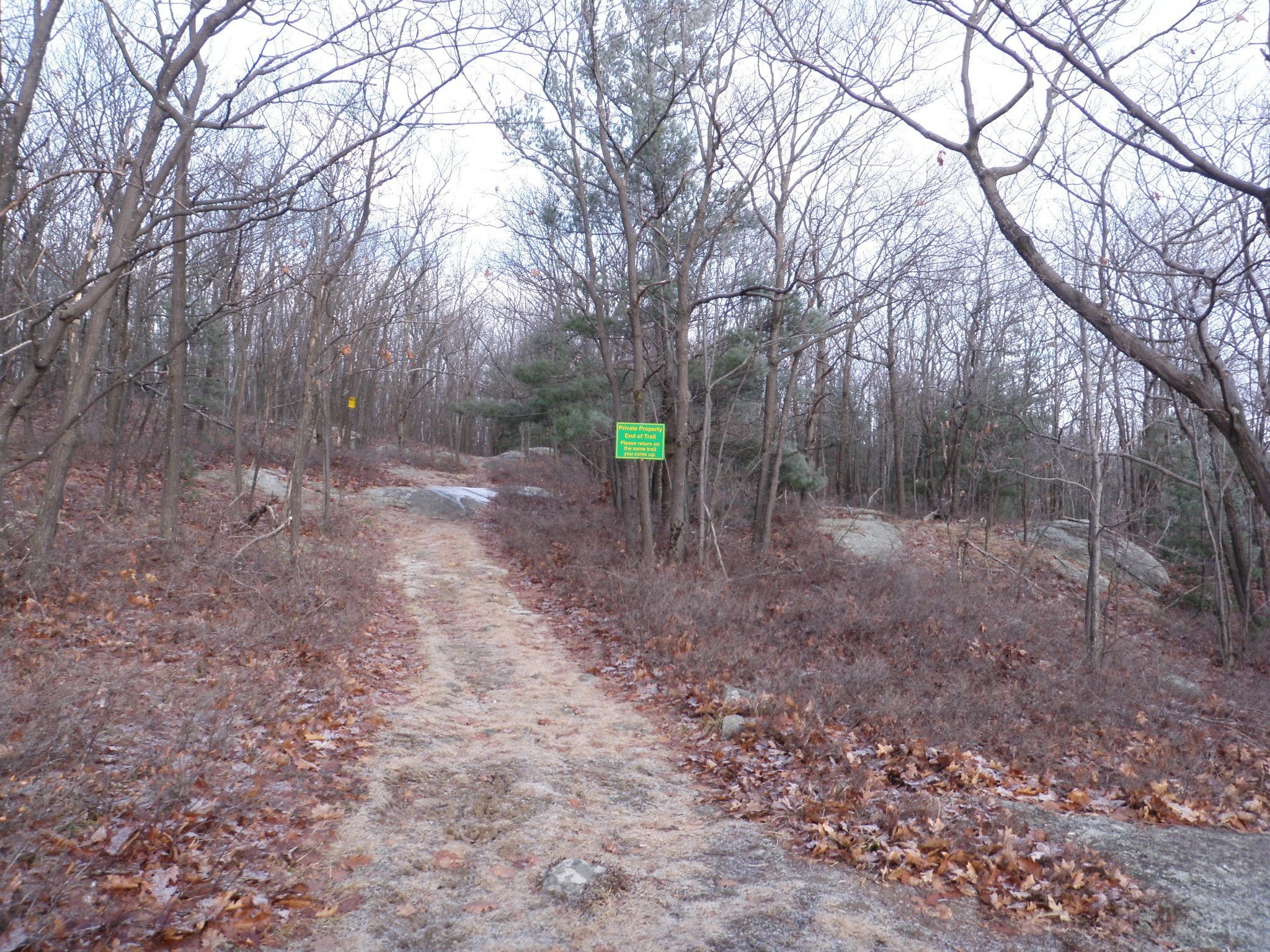 PC300026.jpg