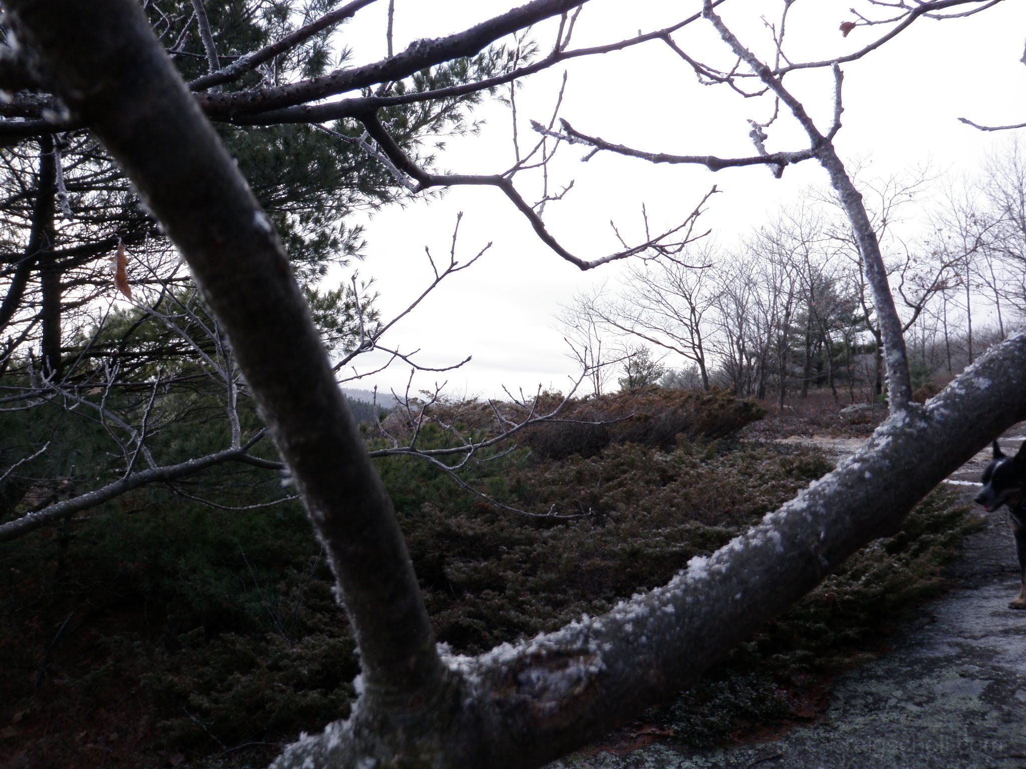 PC300030.jpg