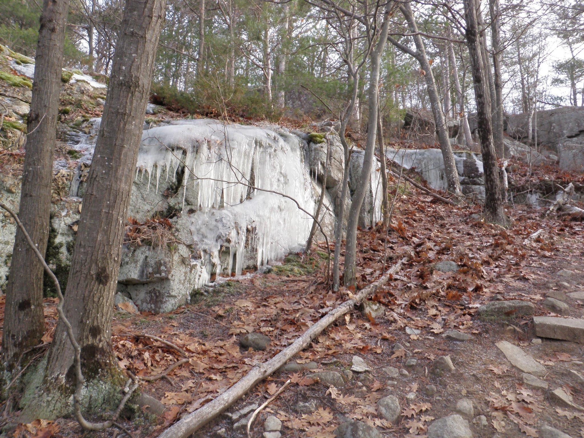 PC300045.jpg