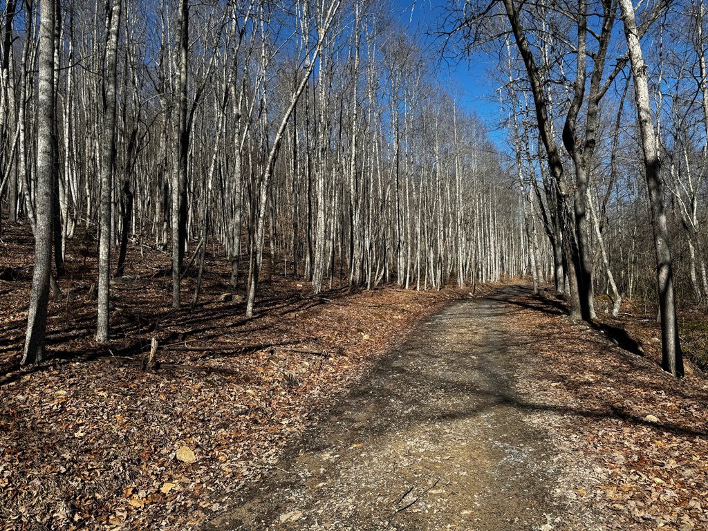 Road walk