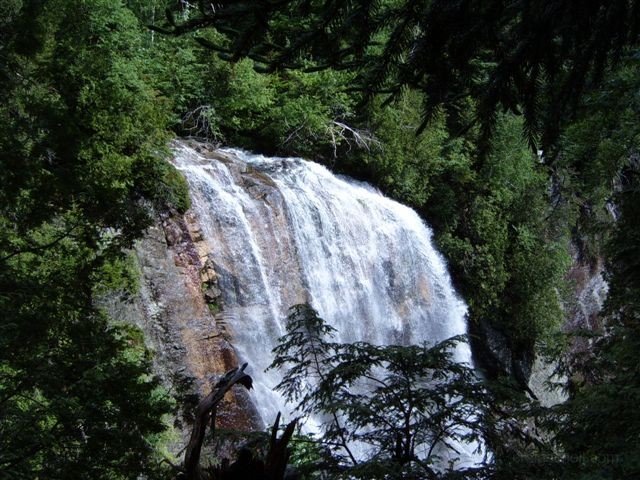 Summer_2005_040_2_
