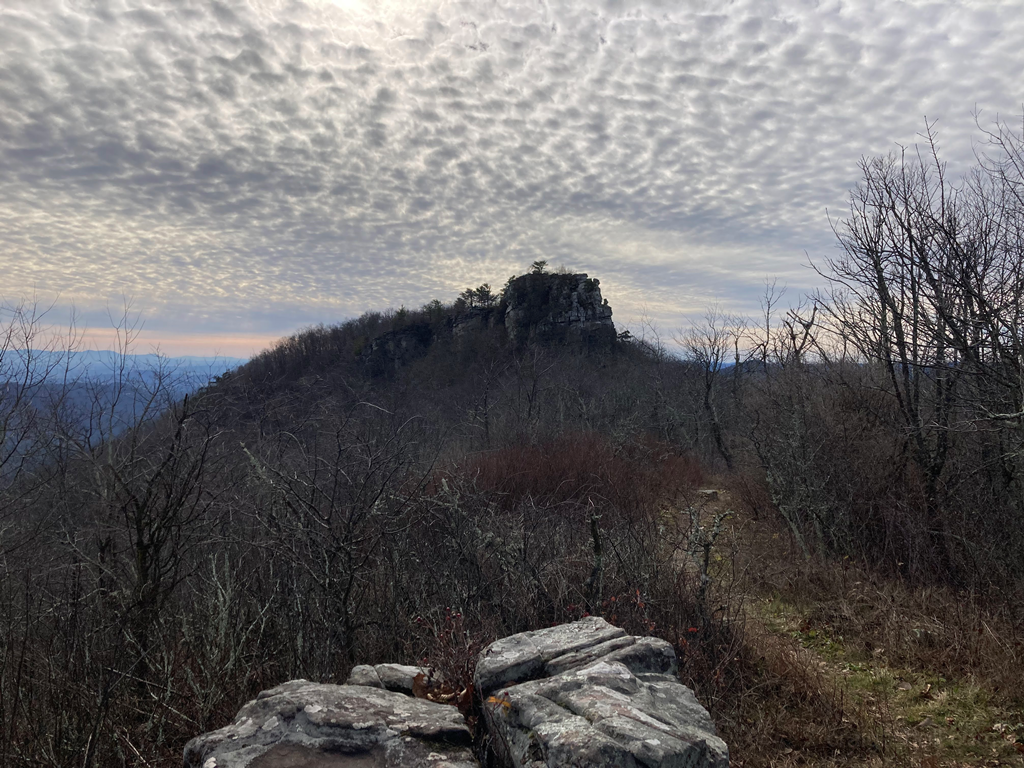 The Castle