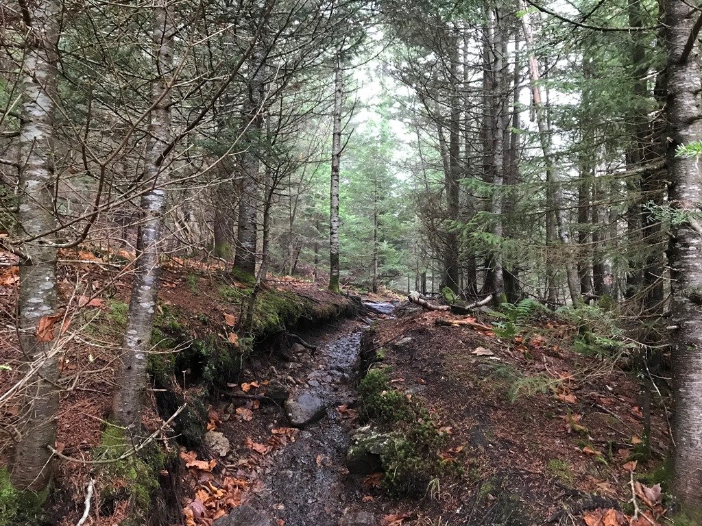 Trail eased a bit