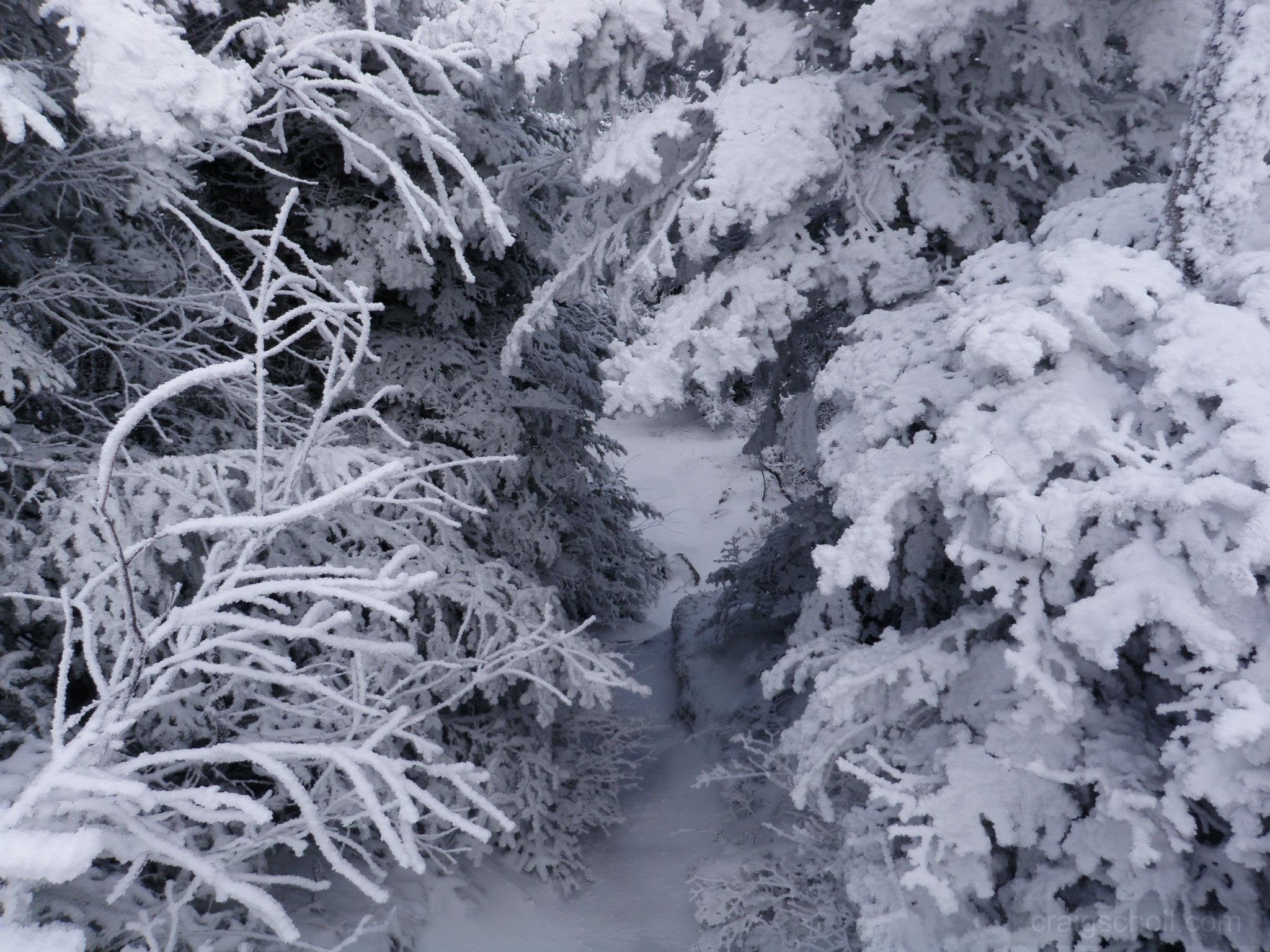 Trail to Porter