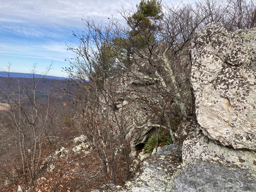 View NW from lookout