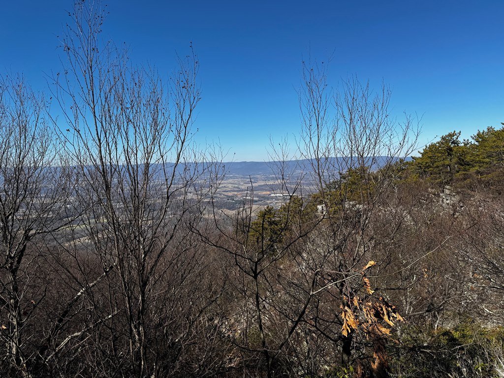 Views north