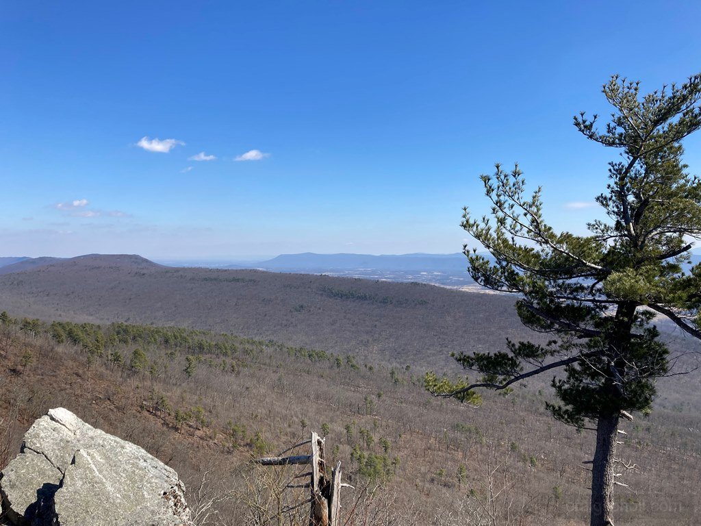Views northeast