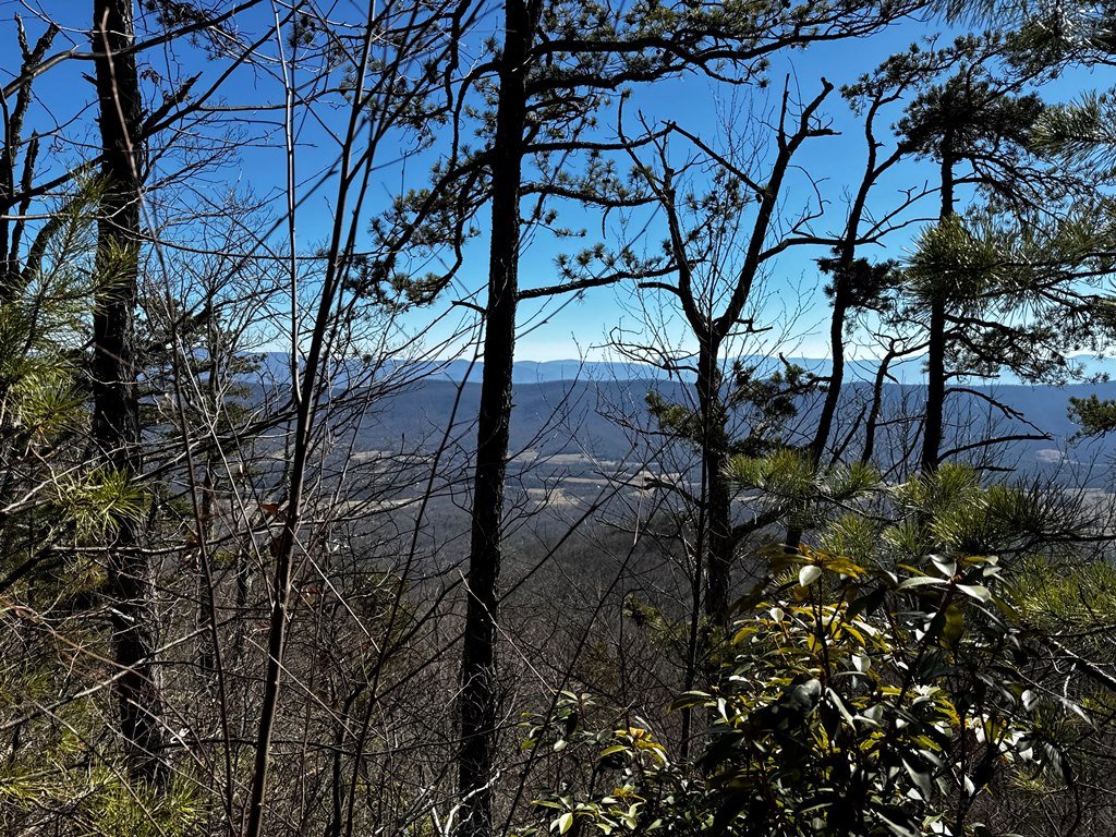 Views of Valley