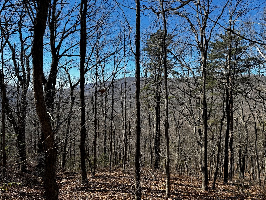 Views South