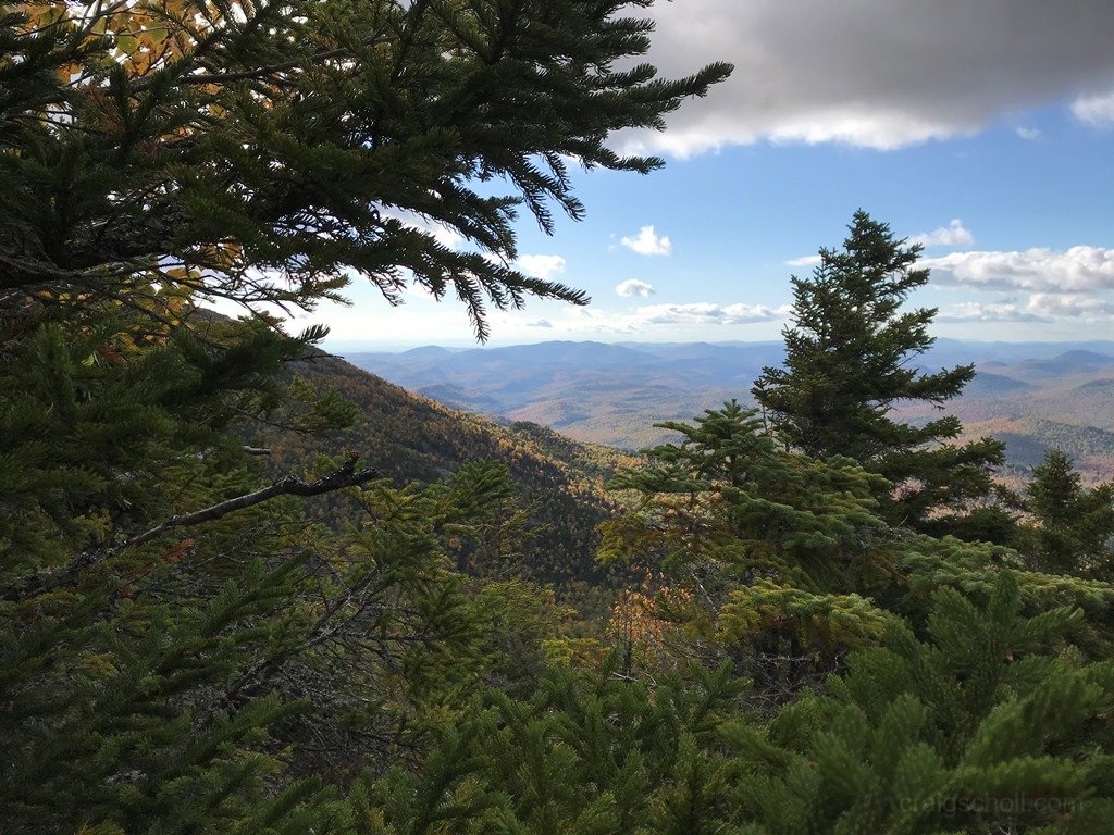 Views southeast