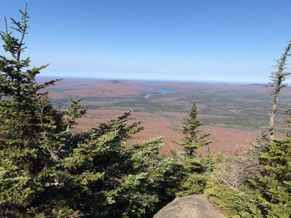 Views SSW