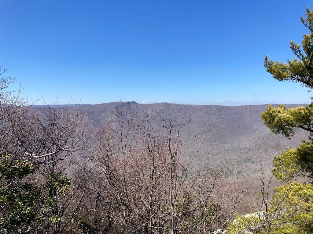 Views west