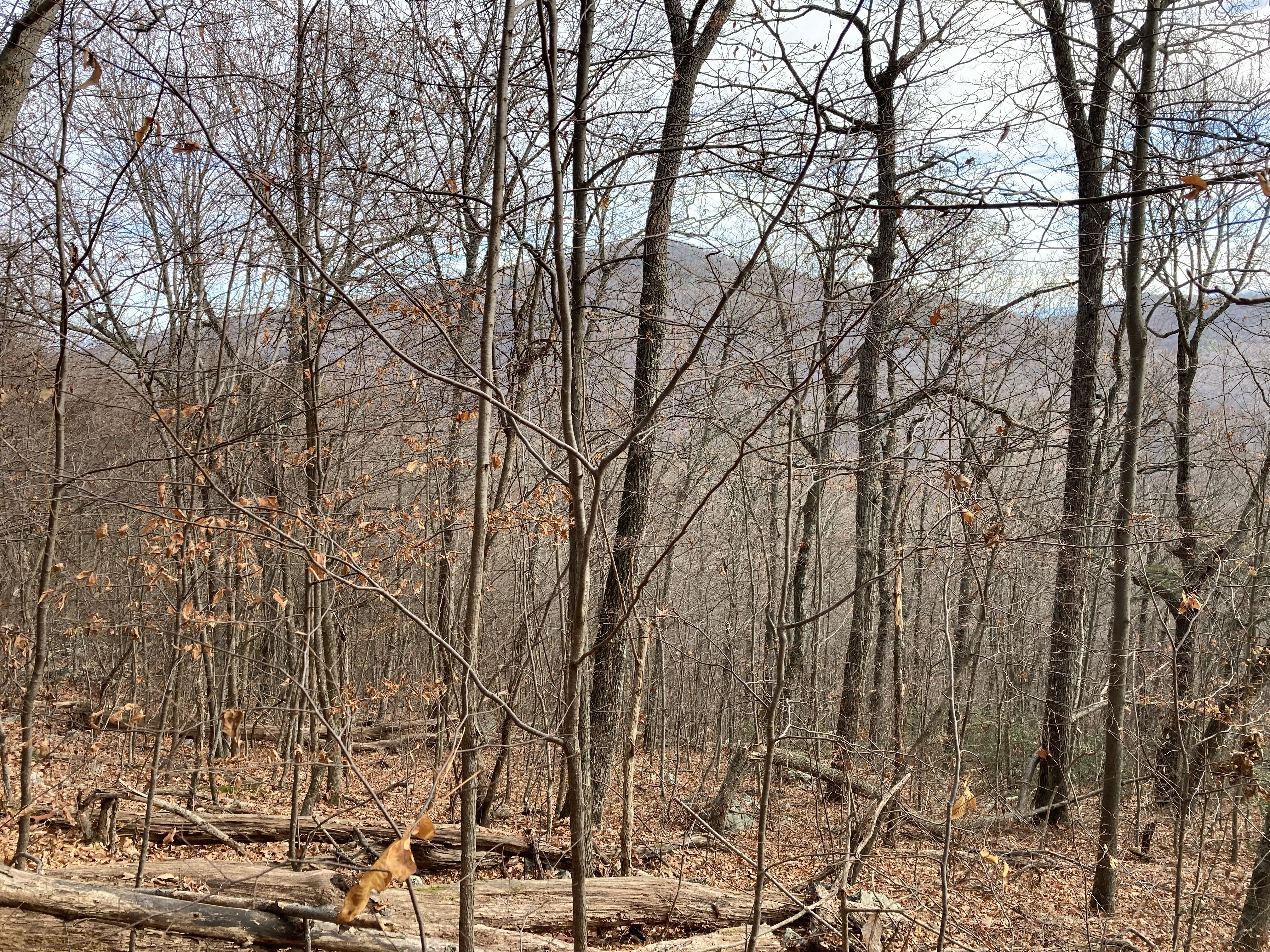 Waonaze Peak in the distance