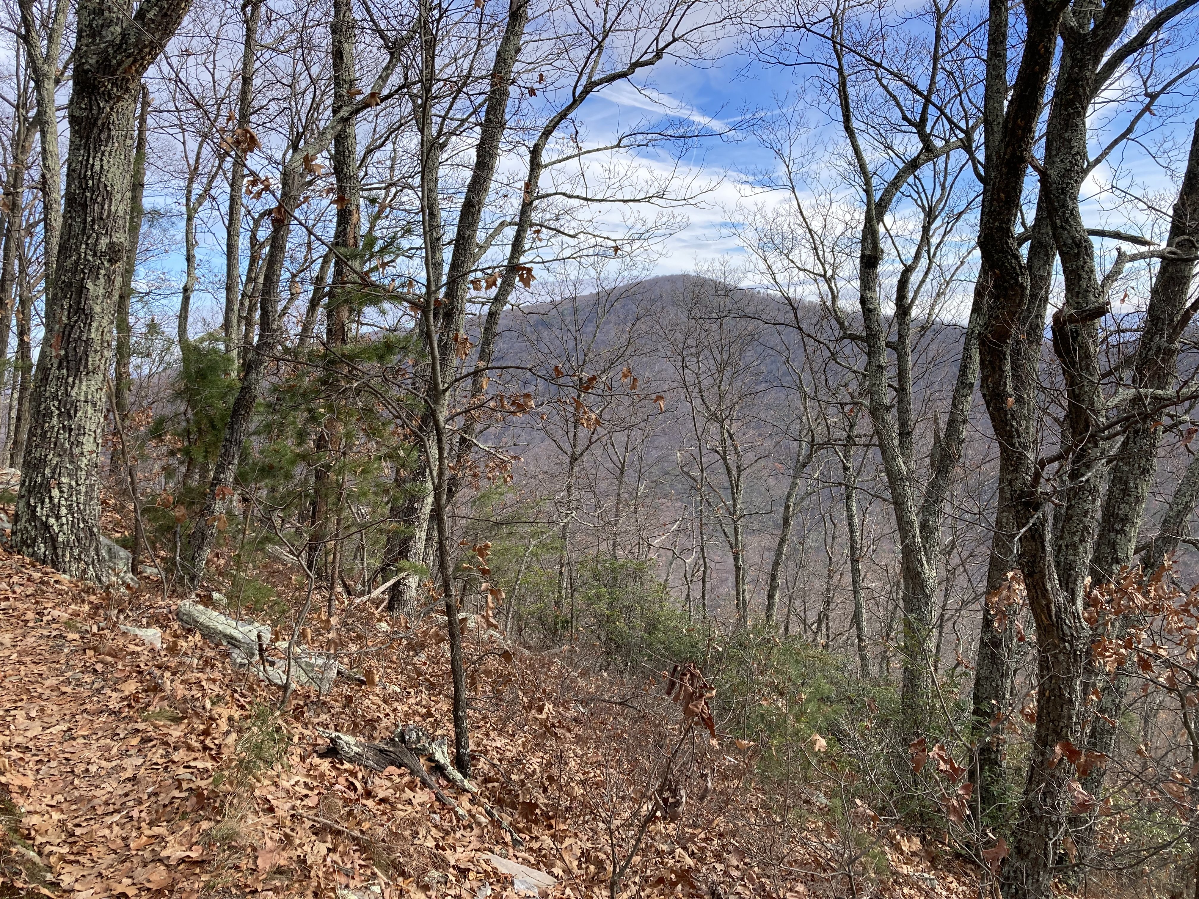 Waonaze Peak through the trees